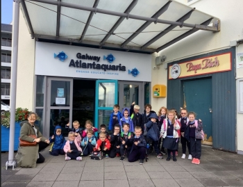 Screenshot 2022-10-10 214854.jpg